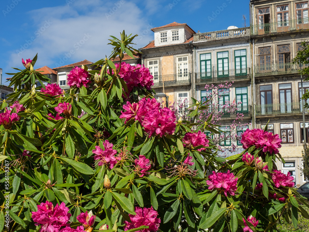 Die Stadt Porto in Portugal