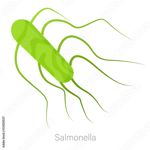 Vector image of a bacterium. Pathogenic bacteria, viruses and microbes. Colored microbes and various types of bacteria. A design element for a website, applications, social networks.
