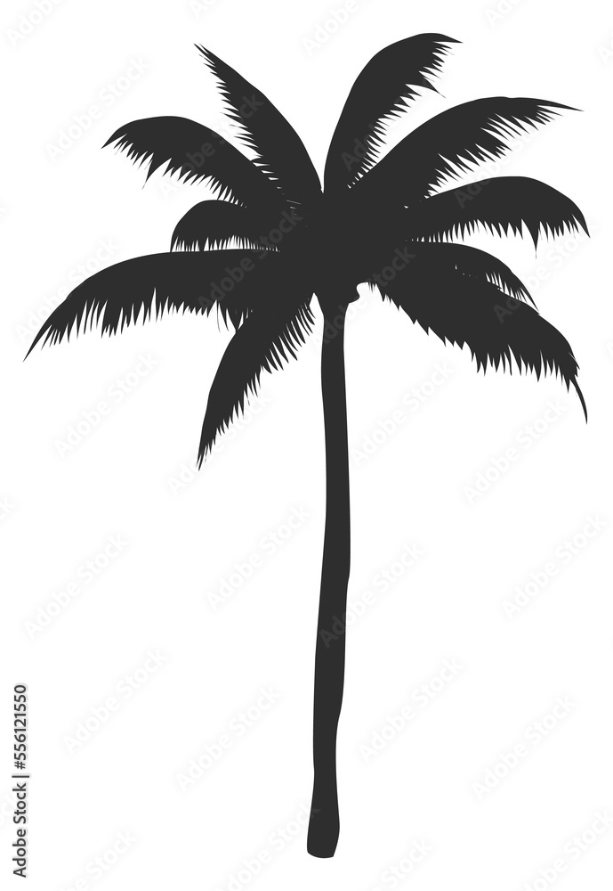 Palm black silhouette. South beach tropical tree