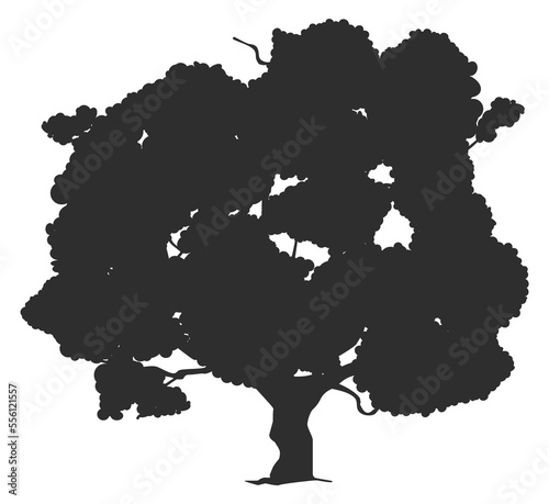 Oak black silhouette. Forest tree nature symbol