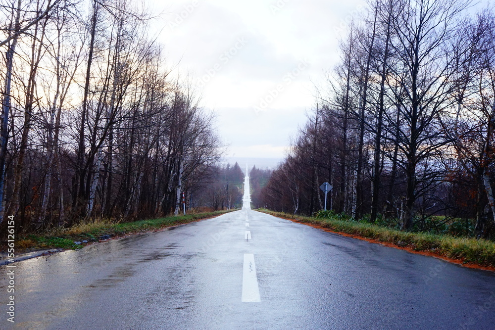 Fototapeta premium Road to Heaven in Shari, Hokkaido, Japan - 日本 北海道 斜里郡 天に続く道