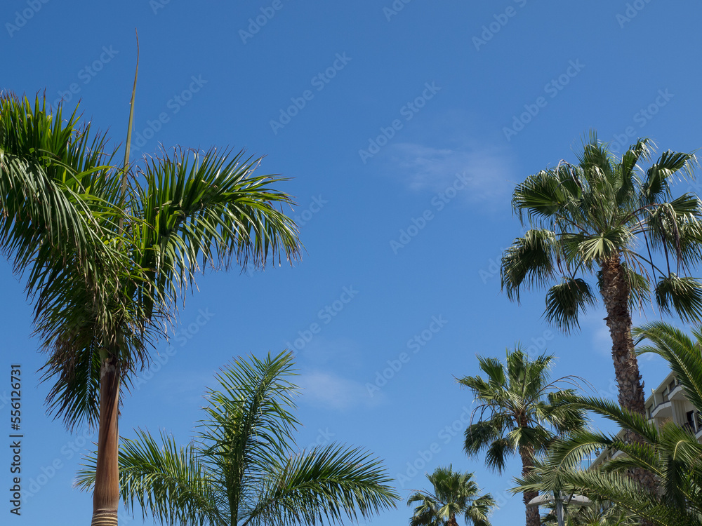 Puerto de la cruz auf Teneriffa