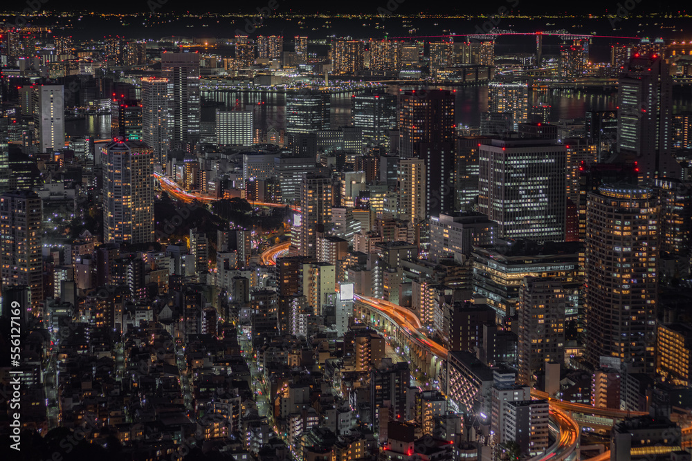 Tokyo Nightview