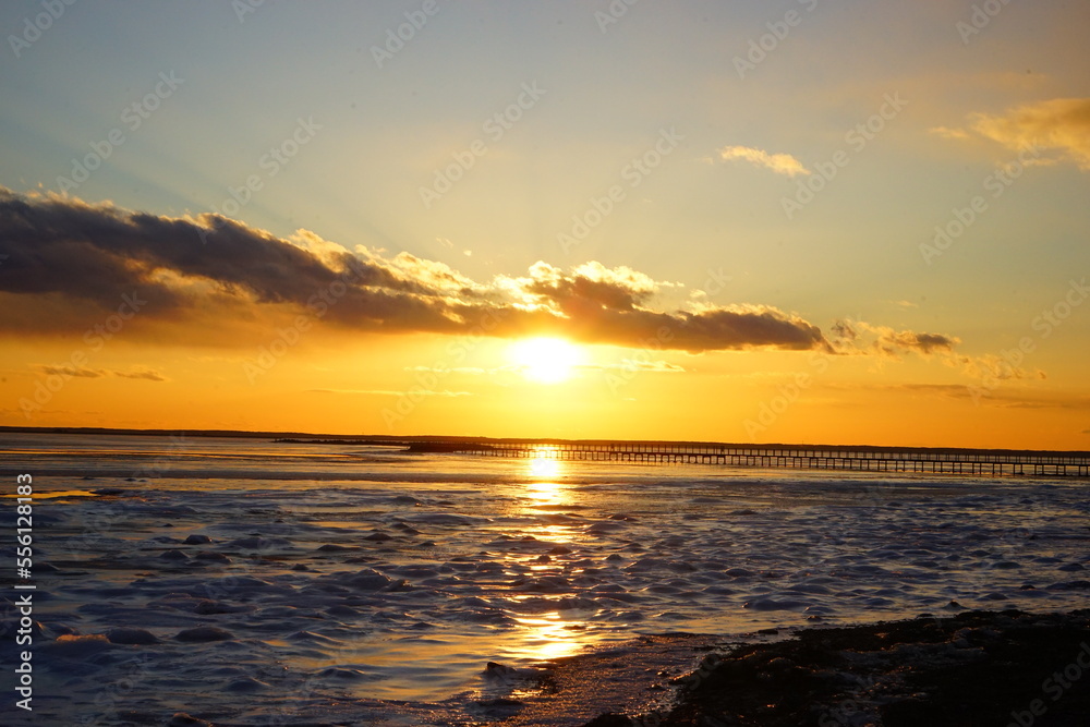 Fototapeta premium Todowara Walk Path and Frozen Ocean at Notsuke Peninsula in Betsukai, Hokkaido, Japan - 日本 北海道 別海町 野付半島 トドワラ 探勝線歩道 氷海