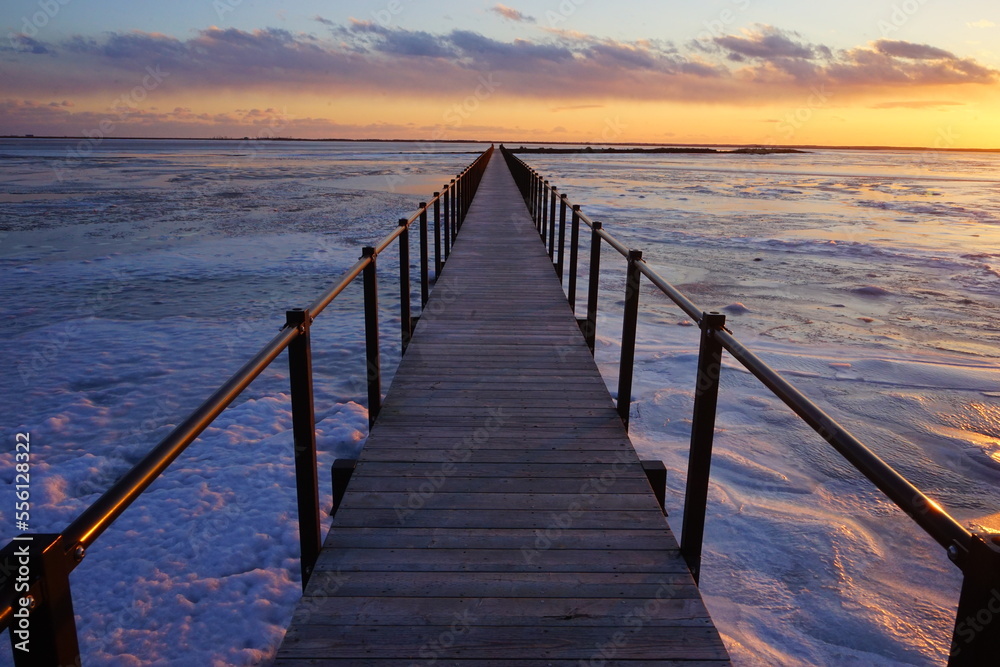 Todowara Walk Path and Frozen Ocean at Notsuke Peninsula in Betsukai, Hokkaido, Japan - 日本 北海道 別海町 野付半島 トドワラ 探勝線歩道 氷海