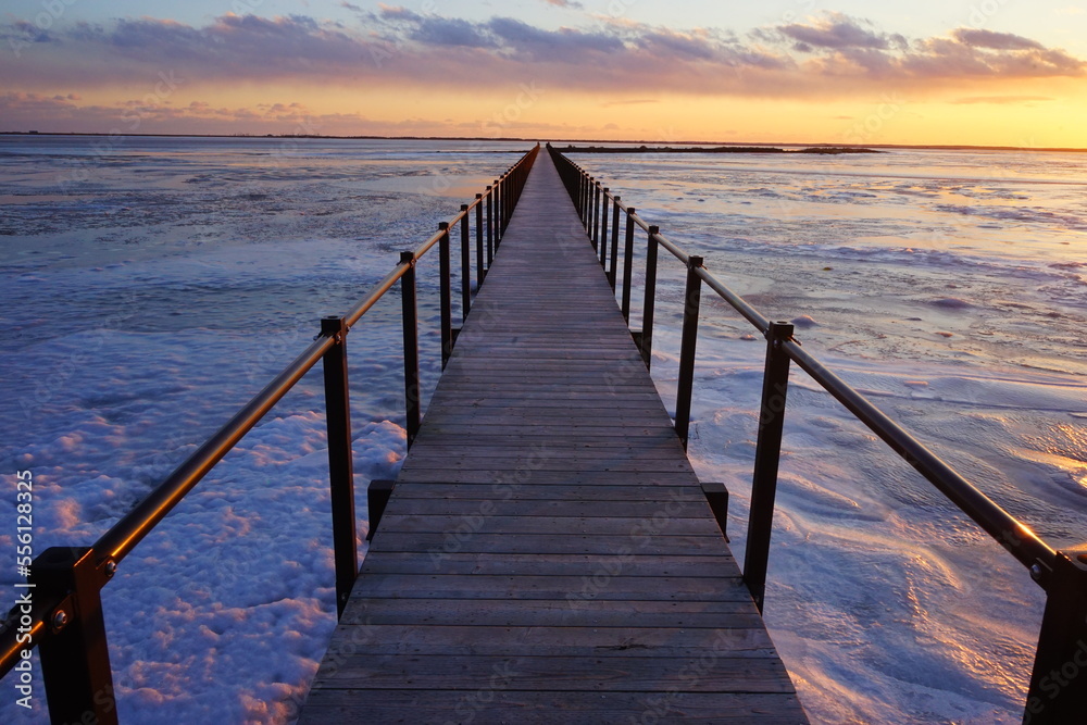 Fototapeta premium Todowara Walk Path and Frozen Ocean at Notsuke Peninsula in Betsukai, Hokkaido, Japan - 日本 北海道 別海町 野付半島 トドワラ 探勝線歩道 氷海