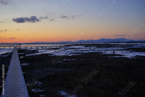Todowara Walk Path and Frozen Ocean at Notsuke Peninsula in Betsukai  Hokkaido  Japan -                                                                            