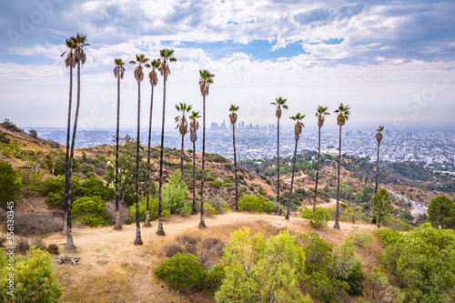 Tableau sur toile aerial view on palms in front of los angeles downtown