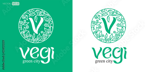 Abstract Elegant Logo Design, V Letter Logo