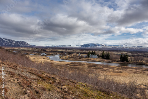 Thingvellir  strada che porta verso una estesa pianura circondata da montagne innevate e tagliata da ruscelli  in primo piano si sono degli abeti