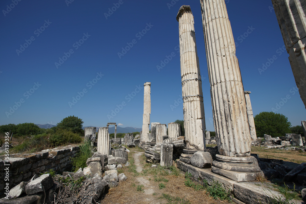 Fototapeta premium Temple of Aphrodite in Aphrodisias Ancient City in Aydin, Turkiye