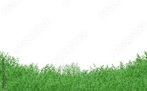 草のフレーム　その1