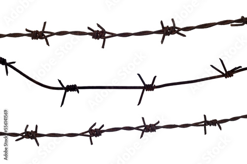 Pieces of barbed wire on a white background close-up. Wire isolate