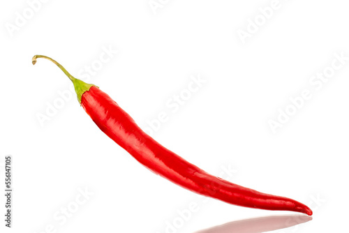 One red hot pepper, macro, isolated on white background.