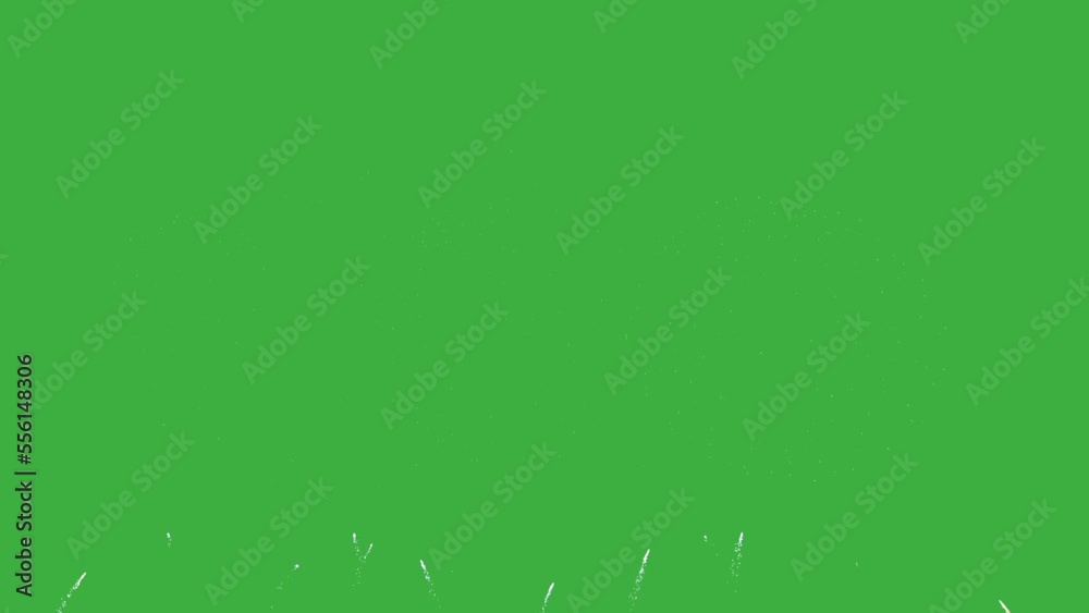Abstract Firework on green chroma key background, 4th of July independence day concept. High quality 4k chromakey video Abstract Firework on green chroma key background, 4th of July independence day concept. High quality 4k chromakey video
