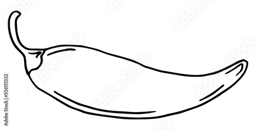 Chili pepper hand drawn outline doodle icon. Vector sketch illustration of chili pepper for print, web, mobile and infographics isolated on white background.