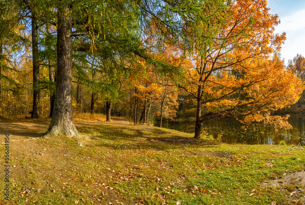 Autumn landscape in the historical park Autumn landscape in the historical park