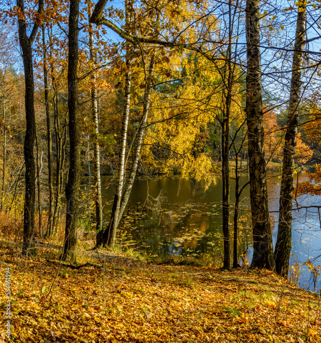 Autumn landscape in the historical park "Aspen Grove" in St. Petersburg