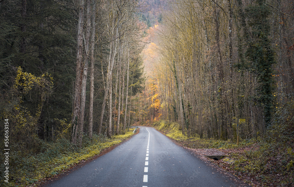 Road Across the Montseny Natural Park, Catalonia Road Across the Montseny Natural Park, Catalonia