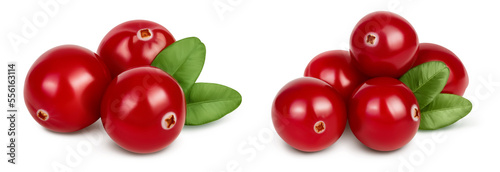 Cranberry with leaves isolated on white background with full depth of field