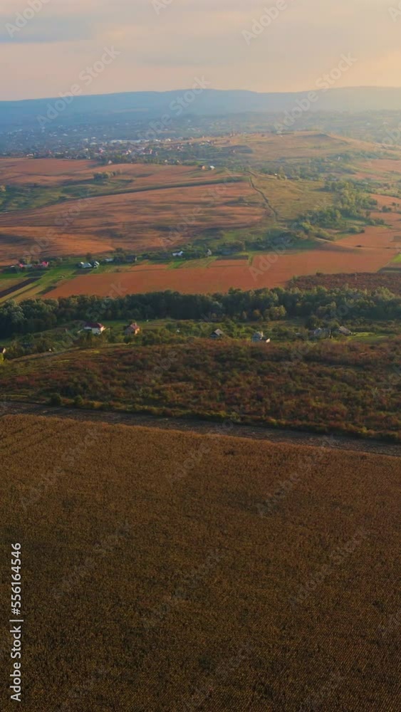 Sunset over the fields of western Ukraine. Aerial view. Vertical video Sunset over the fields of western Ukraine. Aerial view. Vertical video