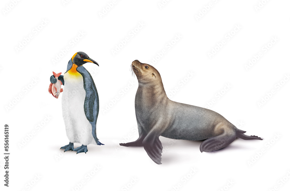 Angel Doublure 1,5 Kg Chacun Pour Pêche à La Carpe, Oeil