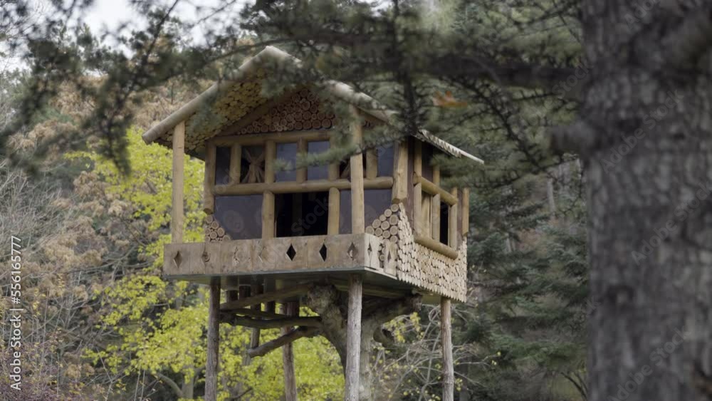 House made of wood standing on high ground, tiny house made of woods House made of wood standing on high ground, tiny house made of woods