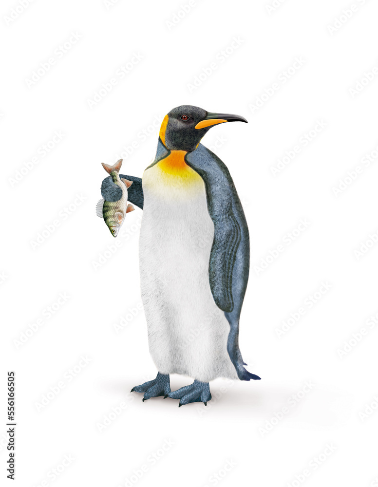 Fototapeta premium manchot, empereur, poisson, perche, dans la main, demander, antarctique, frigide, neige, faune, illustration, arctique, hiver, blanc, glace, animal, nature