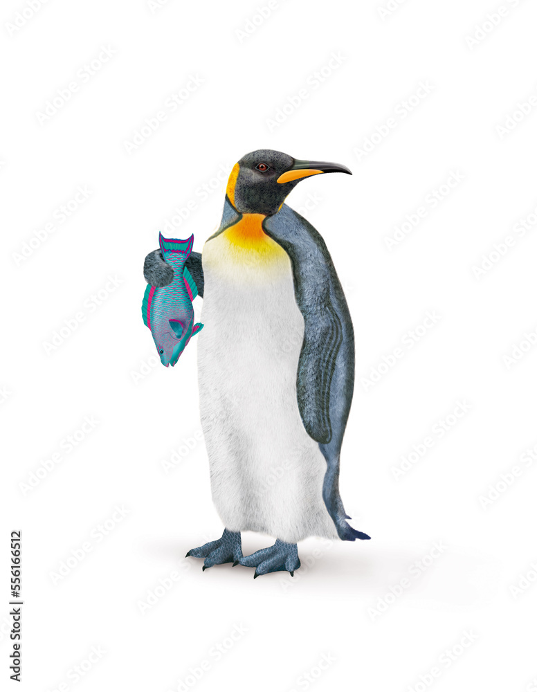 Fototapeta premium manchot, empereur, , poisson, perroquet, dans la main, demander, antarctique, frigide, neige, faune, illustration, arctique, hiver, blanc, glace, animal, nature
