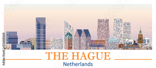 Photography The Hague skyline in bright color palette vector illustration