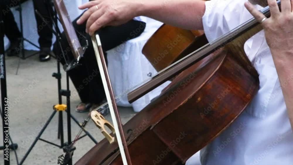 Orchestra musicians are playing for concert. Human in white shirt holding contrabass in hand and playing with bow closeup Orchestra musicians are playing for concert. Human in white shirt holding contrabass in hand and playing with bow closeup