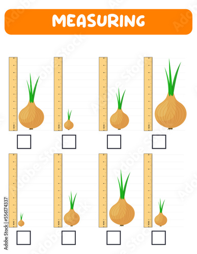 Measuring length  with ruler. Education developing worksheet. Game for kids.Vector illustration. practice sheets.Onion measurement in inches
