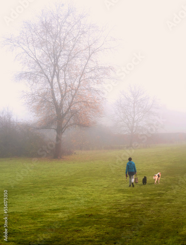 misty morning walking in the park