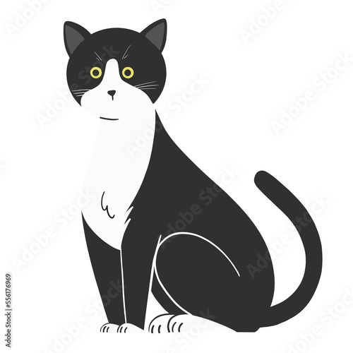 black cat cartoon illustration 