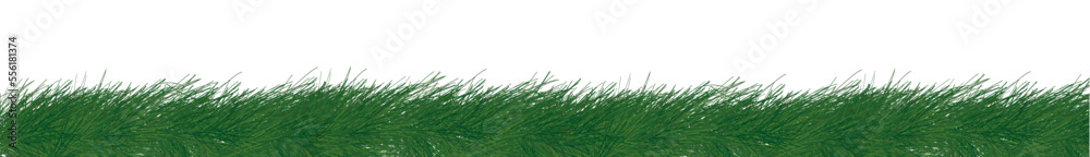 Obraz premium Trawa