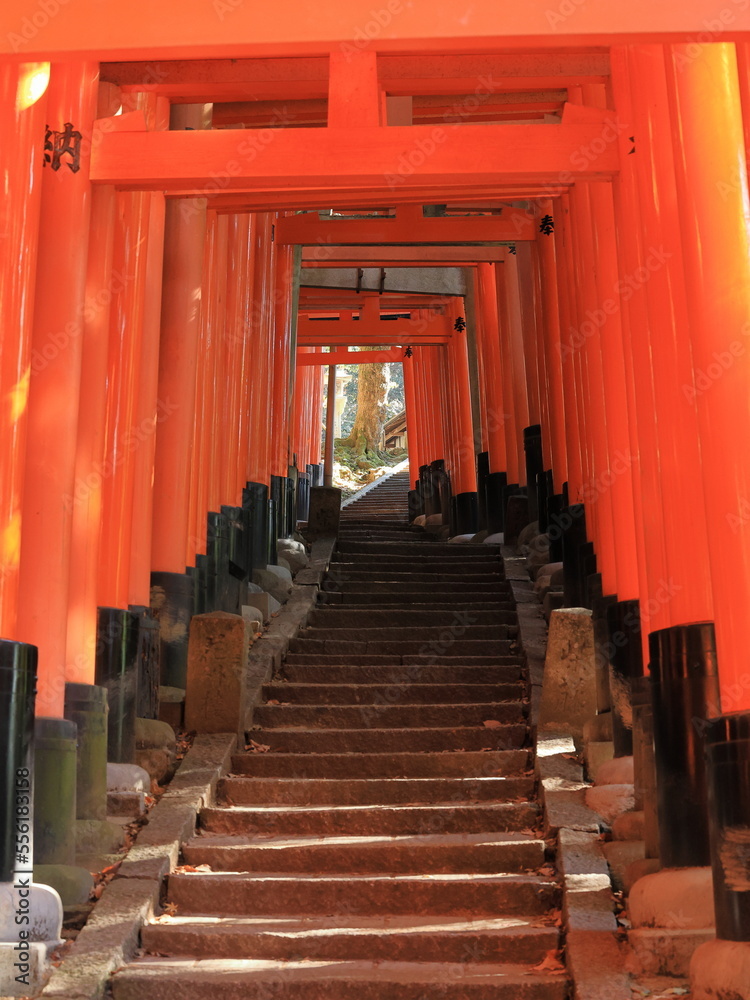 迎春の伏見稲荷大社