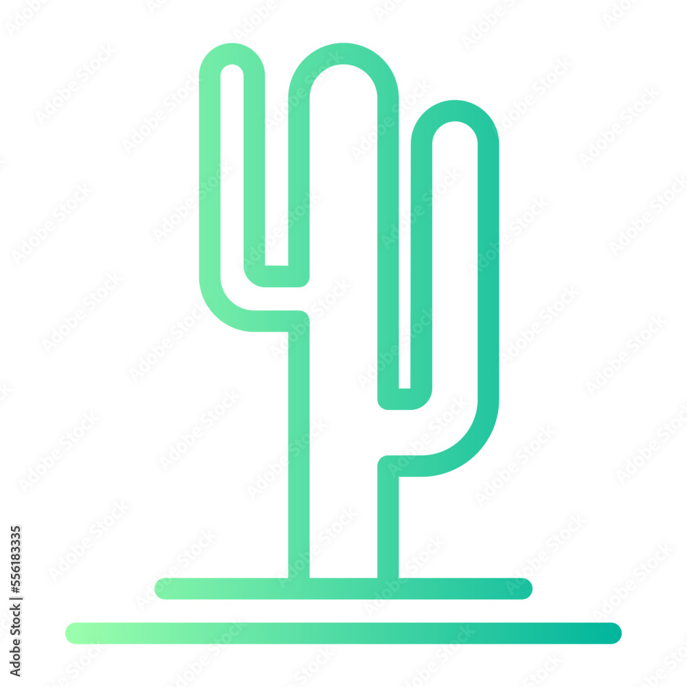 cactus cactus