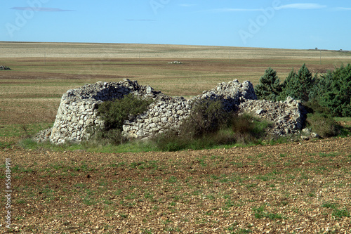 Slika na platnu Le Murge pugliesi, veduta territoriale delle campagne del sud Italia