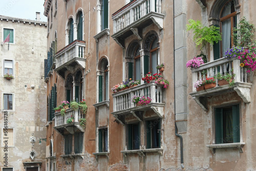 Venice window boxes