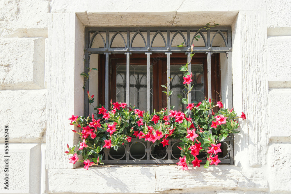 guarded window with flowers iron grate