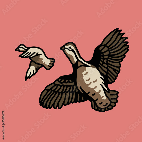 VECTORS. Northern Bobwhite Quail birds flying. Also known as the Virginia quail or bobwhite quail, is a ground-dwelling bird native to Canada, the United States, Mexico, and Cuba