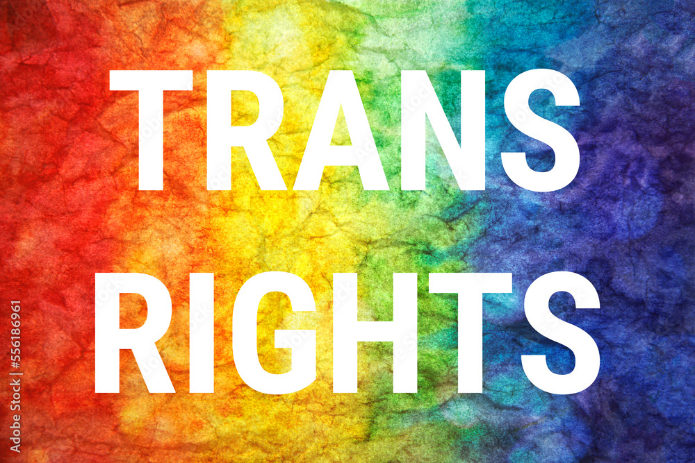 Fototapeta premium Trans rights words on LGTB textured background.