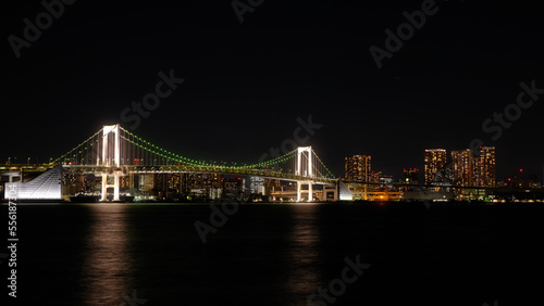 A beautiful city bridge at night  Tokyo  Japan  Dec 2022