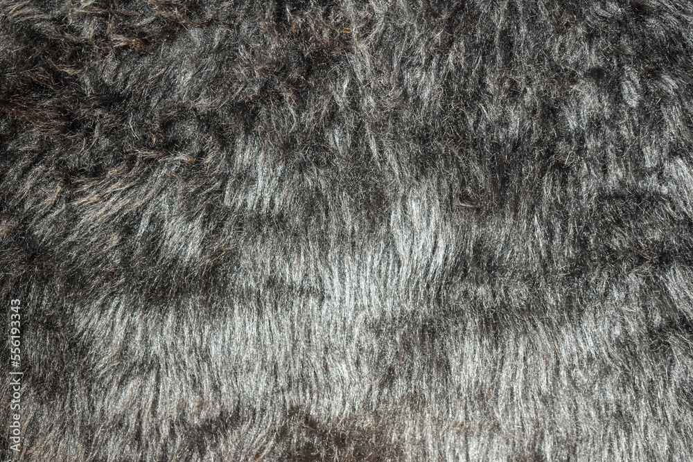 Naklejka premium Black wool background texture close up abstract