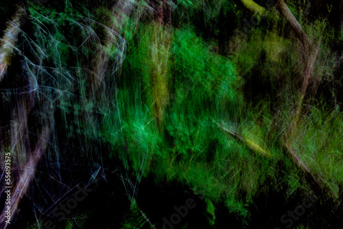 Nature abstract photography, photo painting.