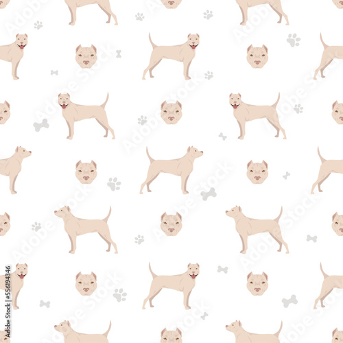 American staffordshire terrier seamless pattern © a7880ss