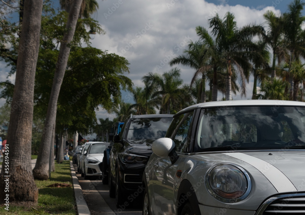 Long row of cars parked at Venice Avenue