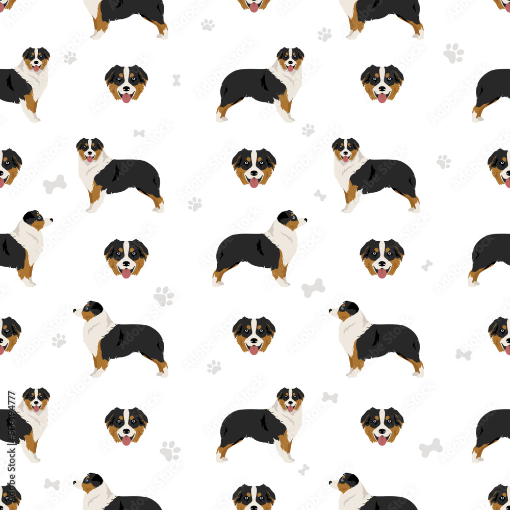 Obraz premium Australian shepherd seamless pattern. Background Aussie set