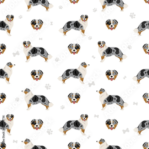 Australian shepherd seamless pattern. Background Aussie set