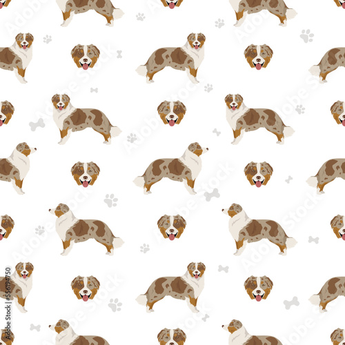 Australian shepherd seamless pattern. Background Aussie set